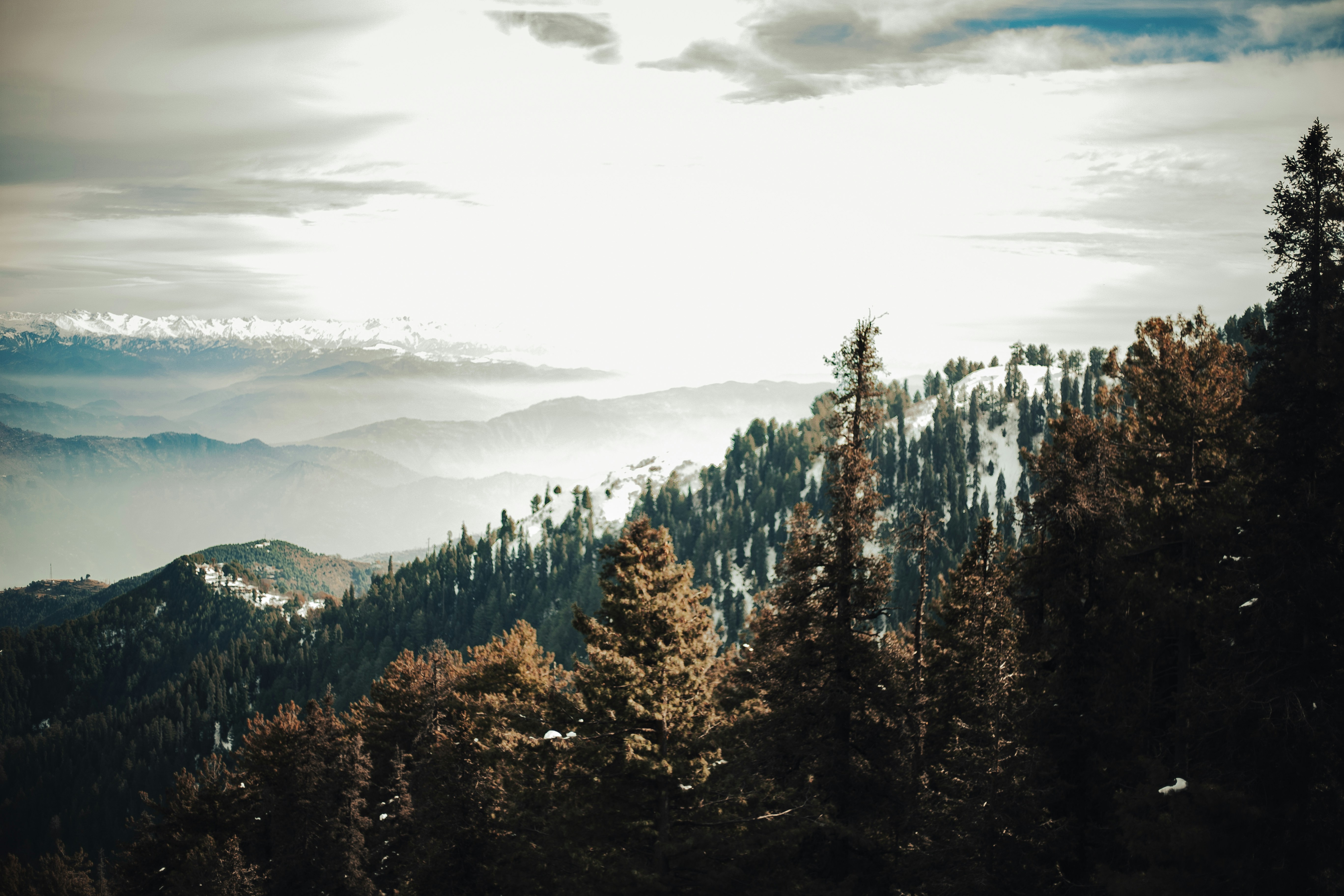 Photo by aliclicks306