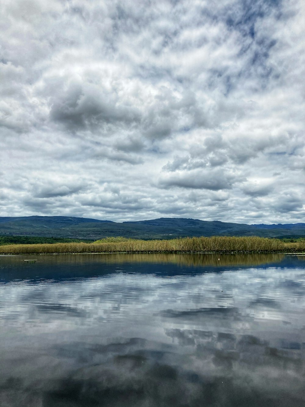 green grass field beside lake under cloudy sky during daytime