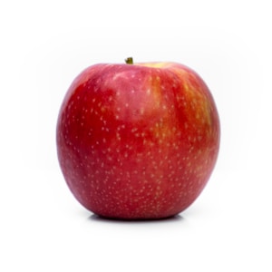 red apple on white background