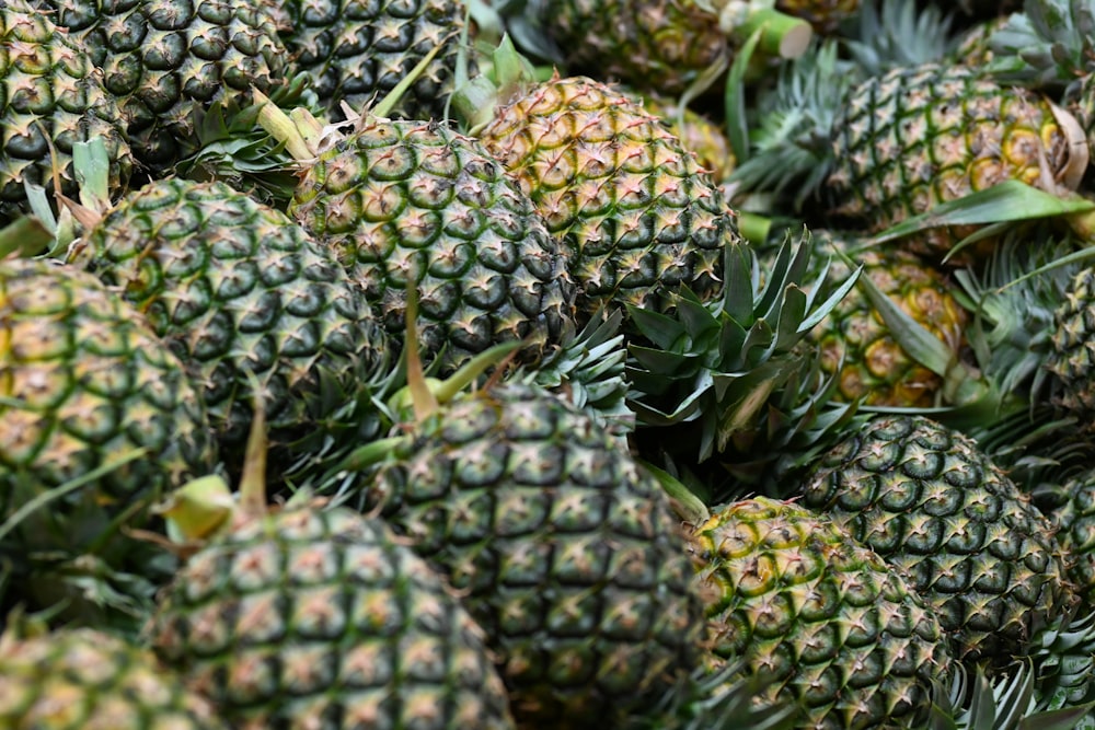 green and yellow pineapple fruits