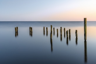brown wooden sticks on sea during sunset