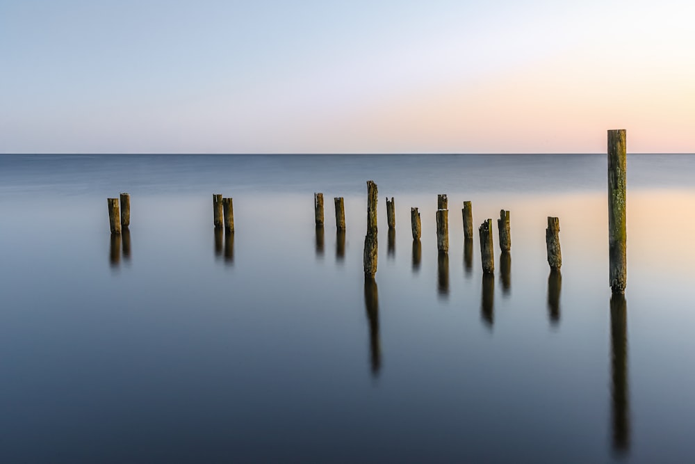 brown wooden sticks on sea during sunset