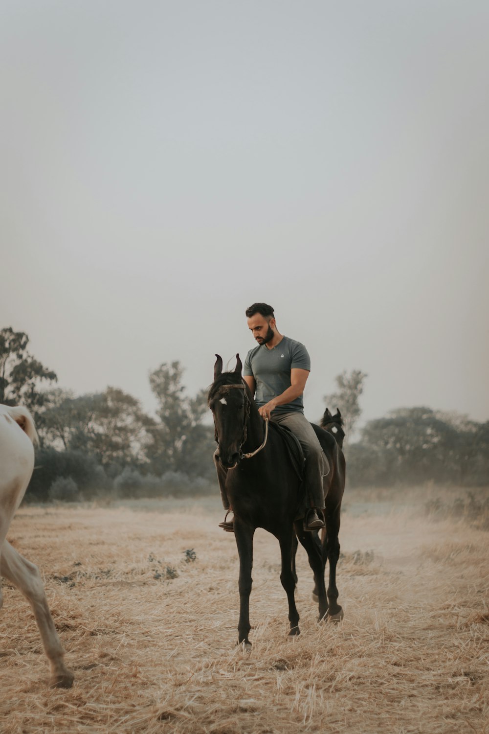 man riding horse during daytime