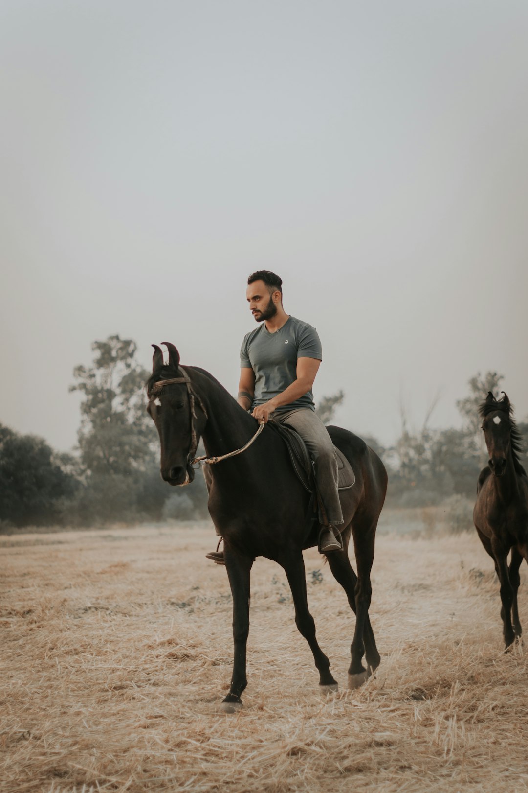 man in blue polo shirt riding brown horse during daytime