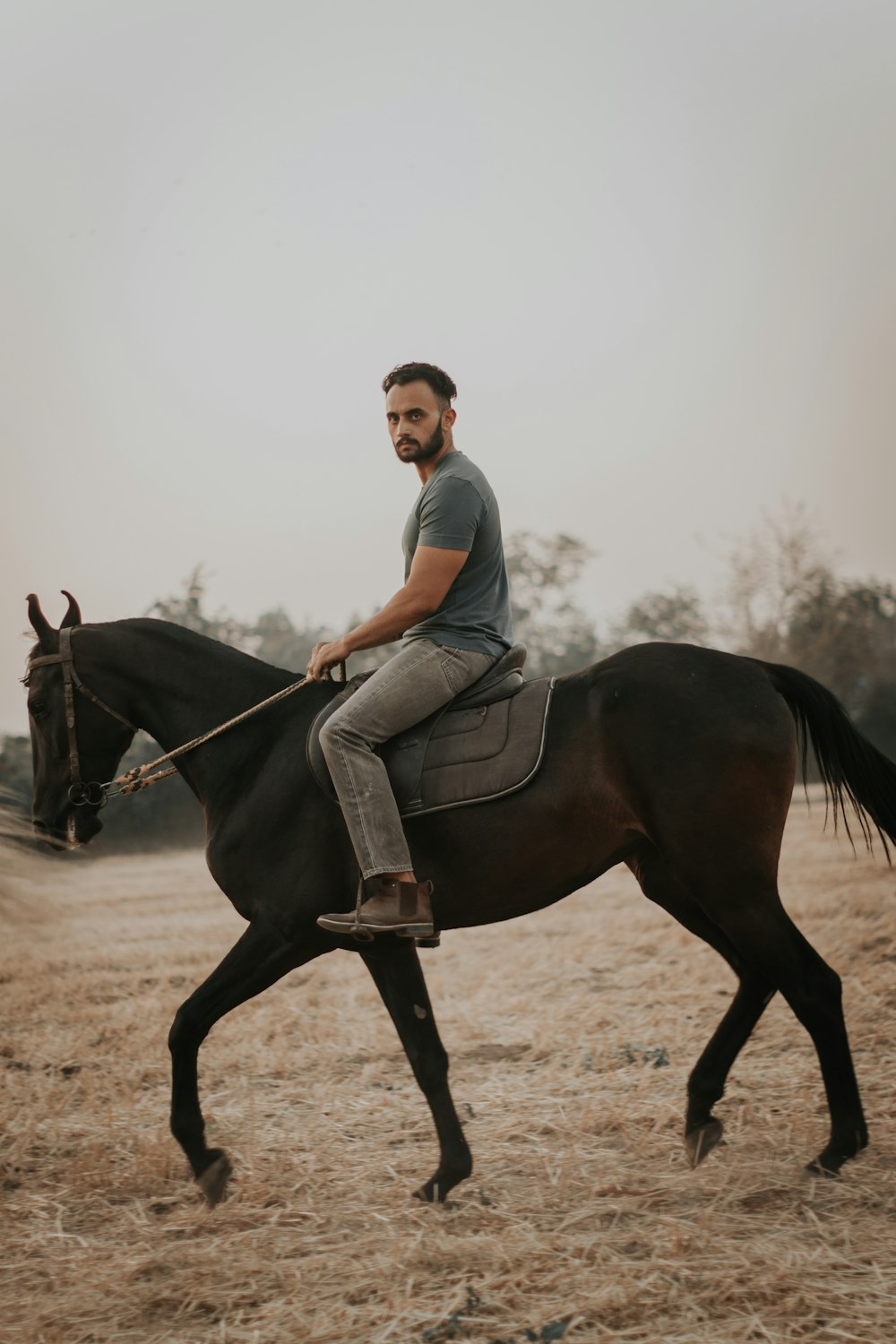 man in white dress shirt riding black horse during daytime