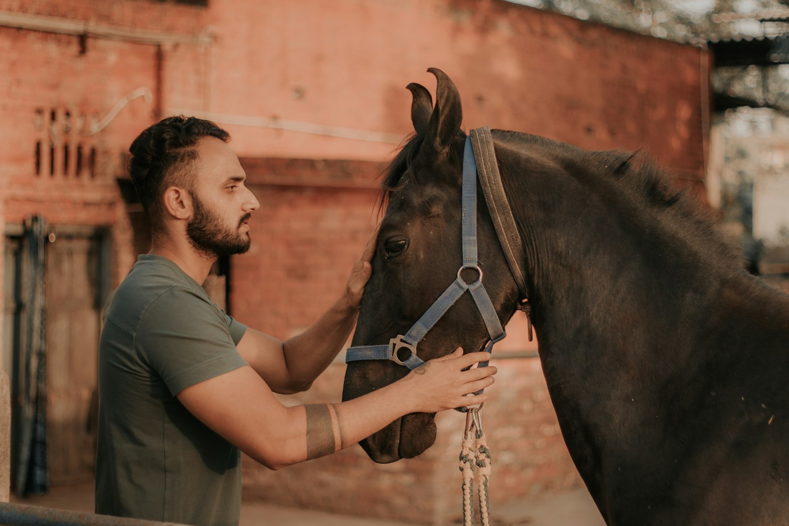 A handler with his hands on a horse's face