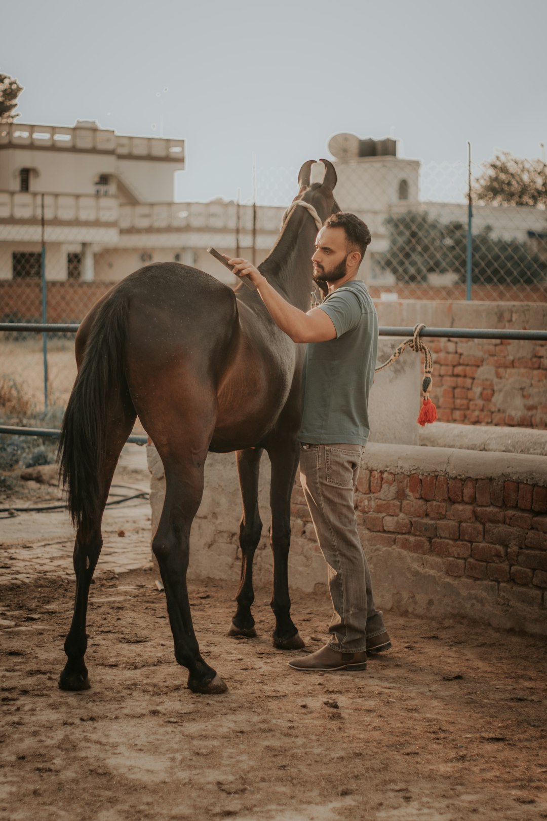 man in white long sleeve shirt and gray pants riding brown horse during daytime