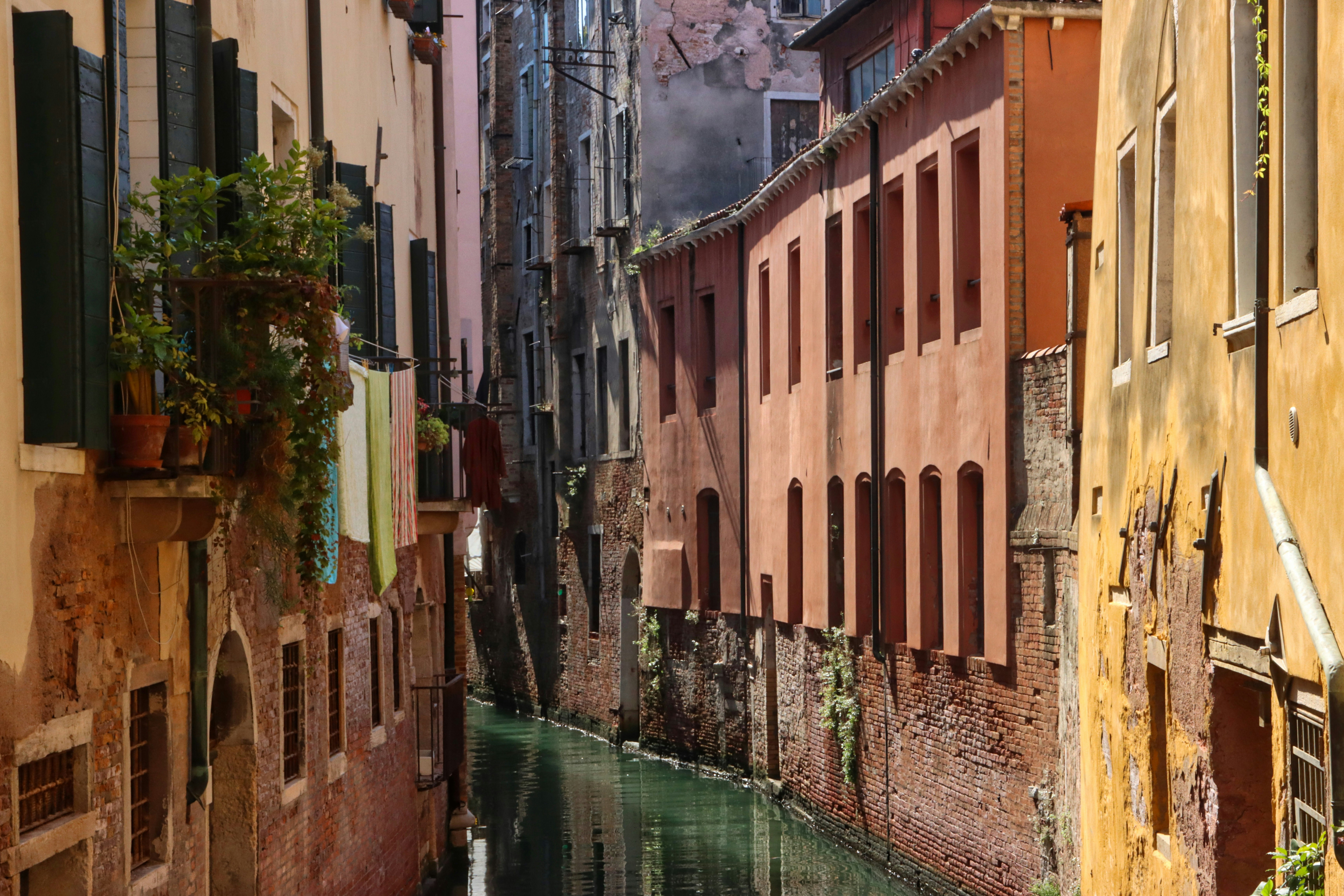 Photo by jddartphotographer