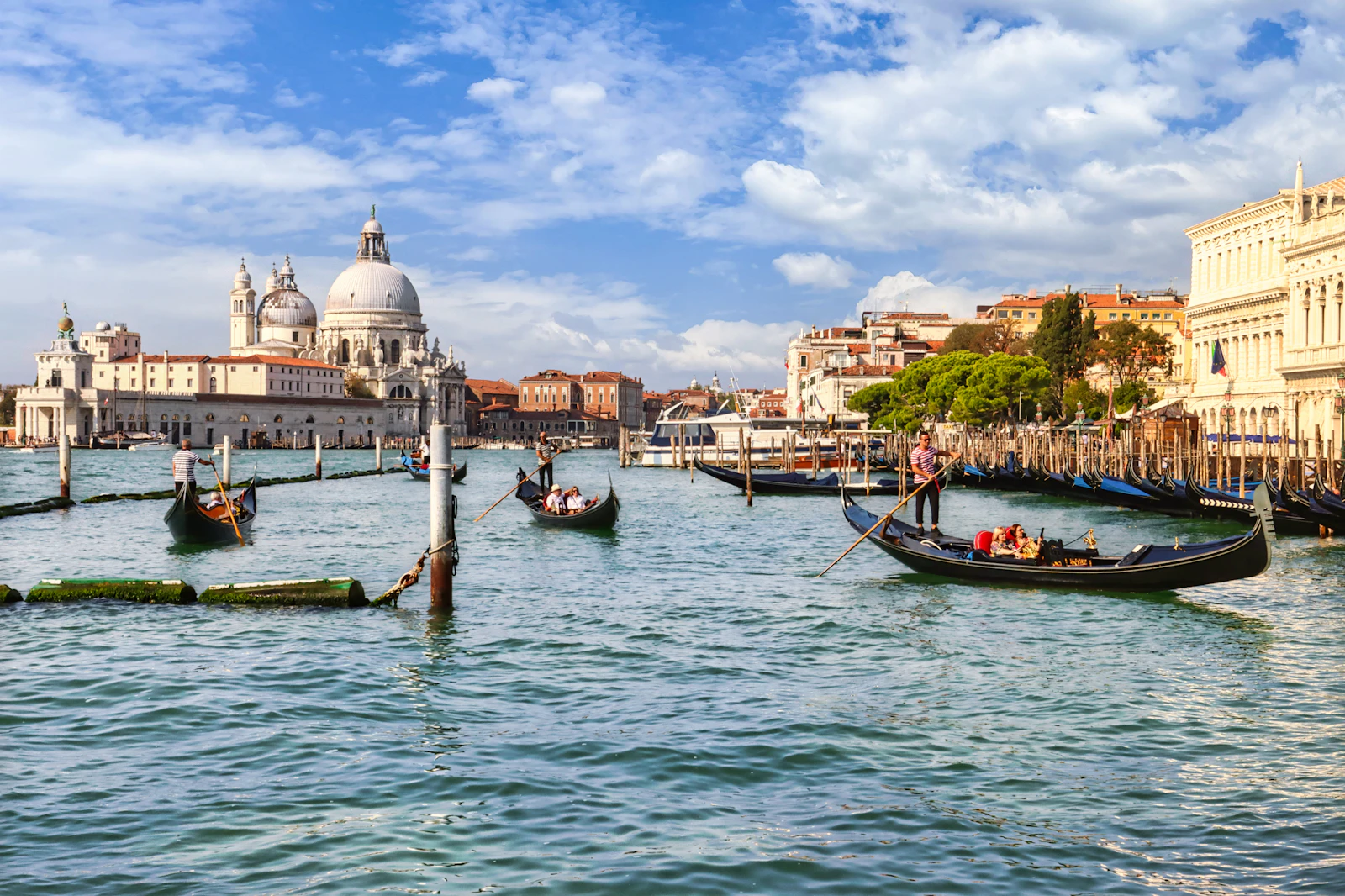 Secrets of the Adriatic from Venice