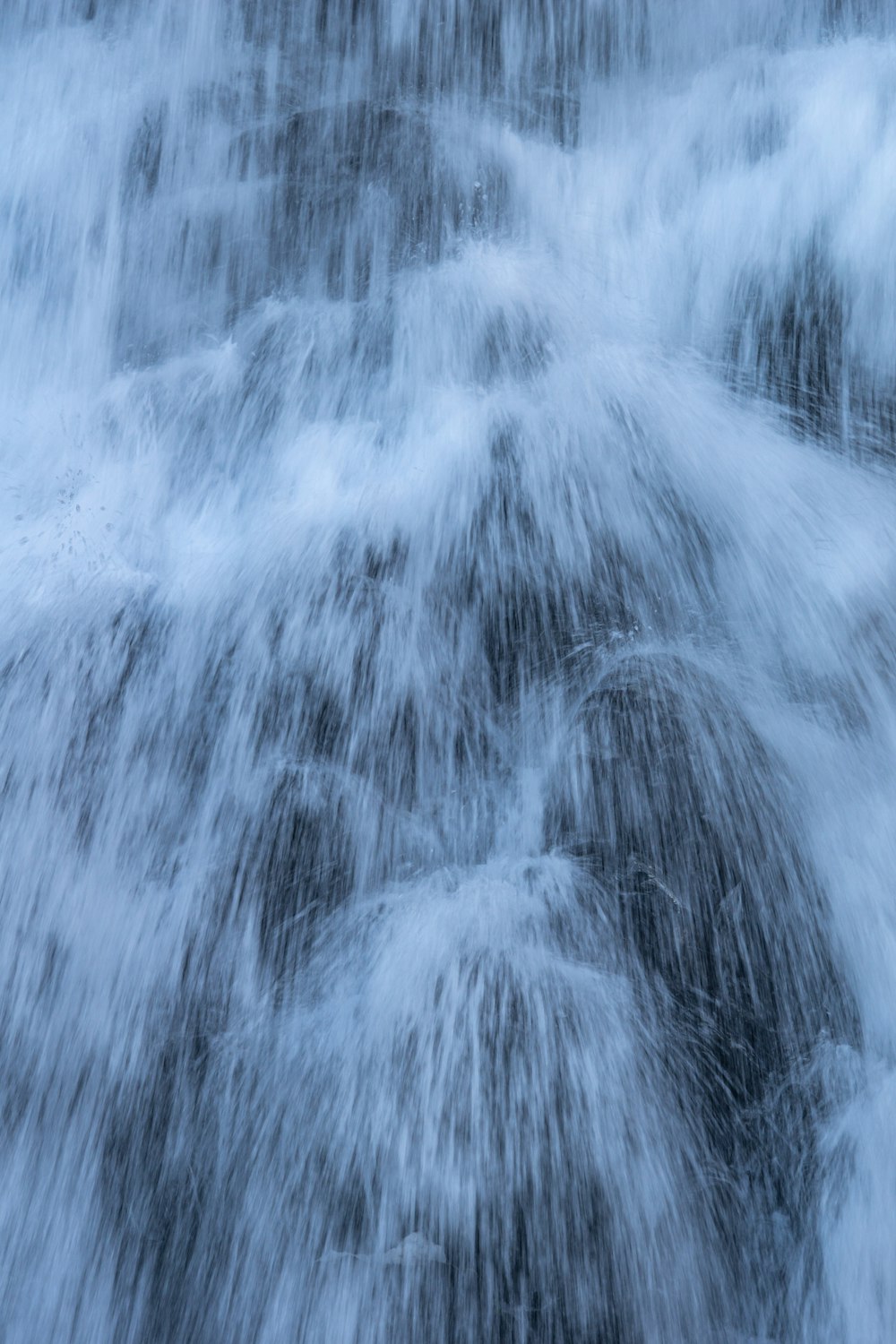 salpicaduras de agua en la rama marrón del árbol