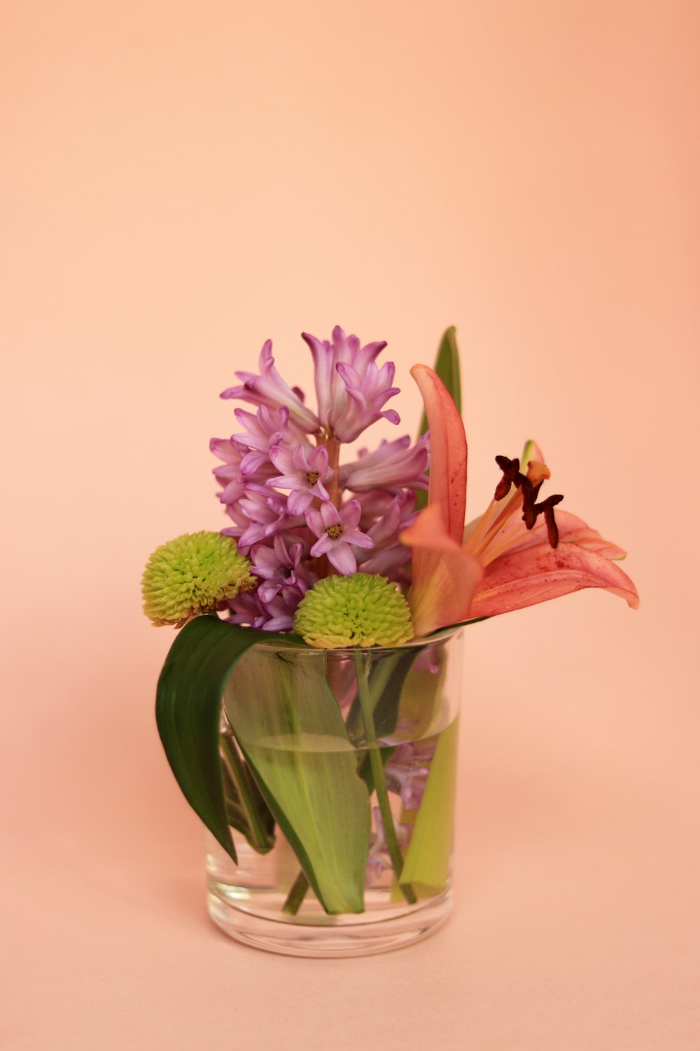 purple and white flower in clear glass vase