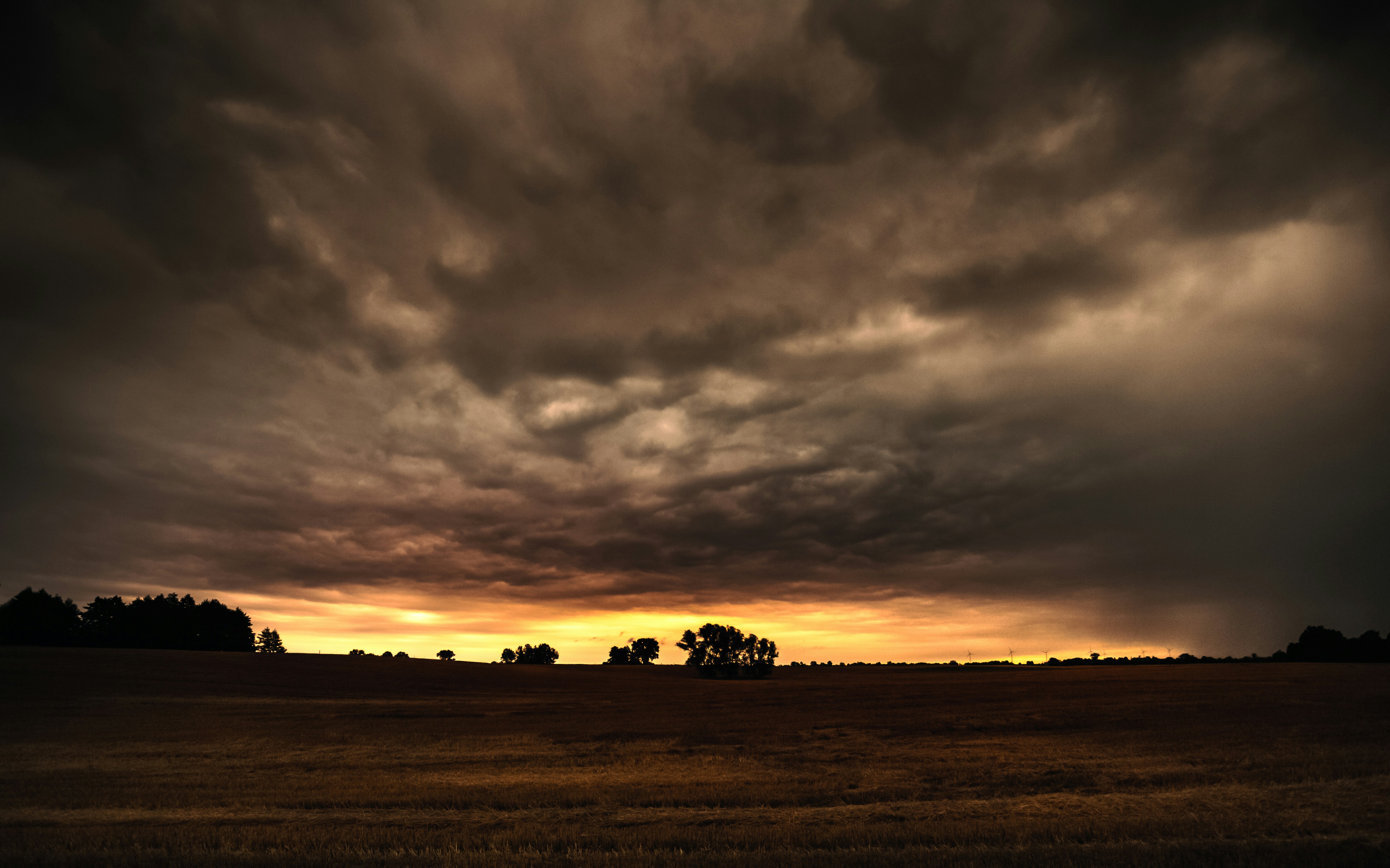 Photo by marekpiwnicki