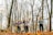 A close-up of children playing in fallen leaves with vibrant trees in the background.