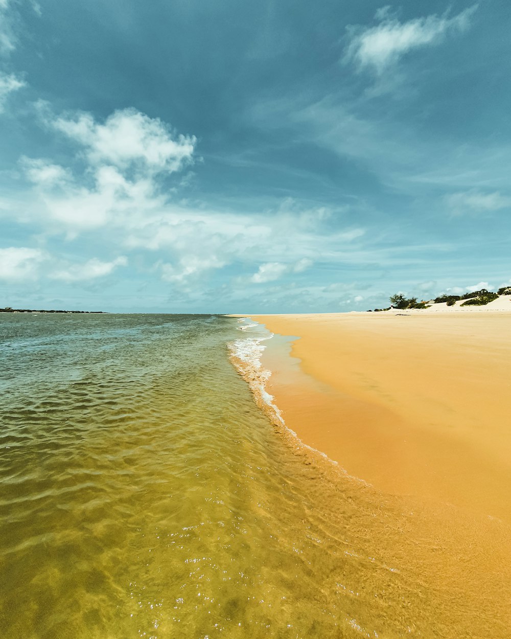 昼間の青空の下での茶色い砂浜