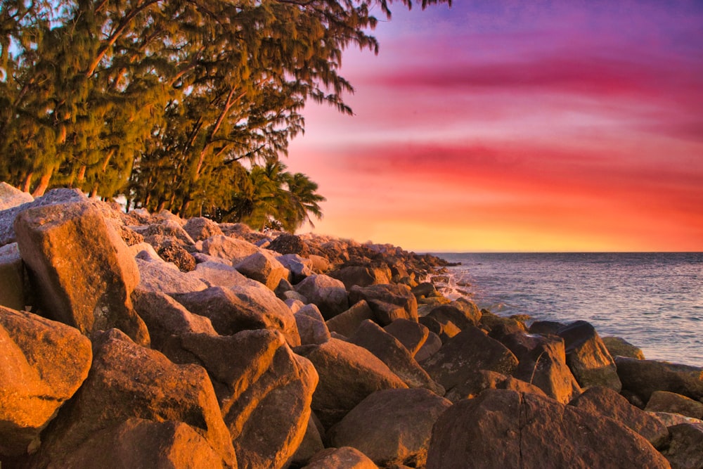 brown and gray rocks near body of water during sunset