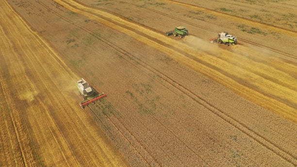 Farmers working together in a field using modern agricultural machinery.
