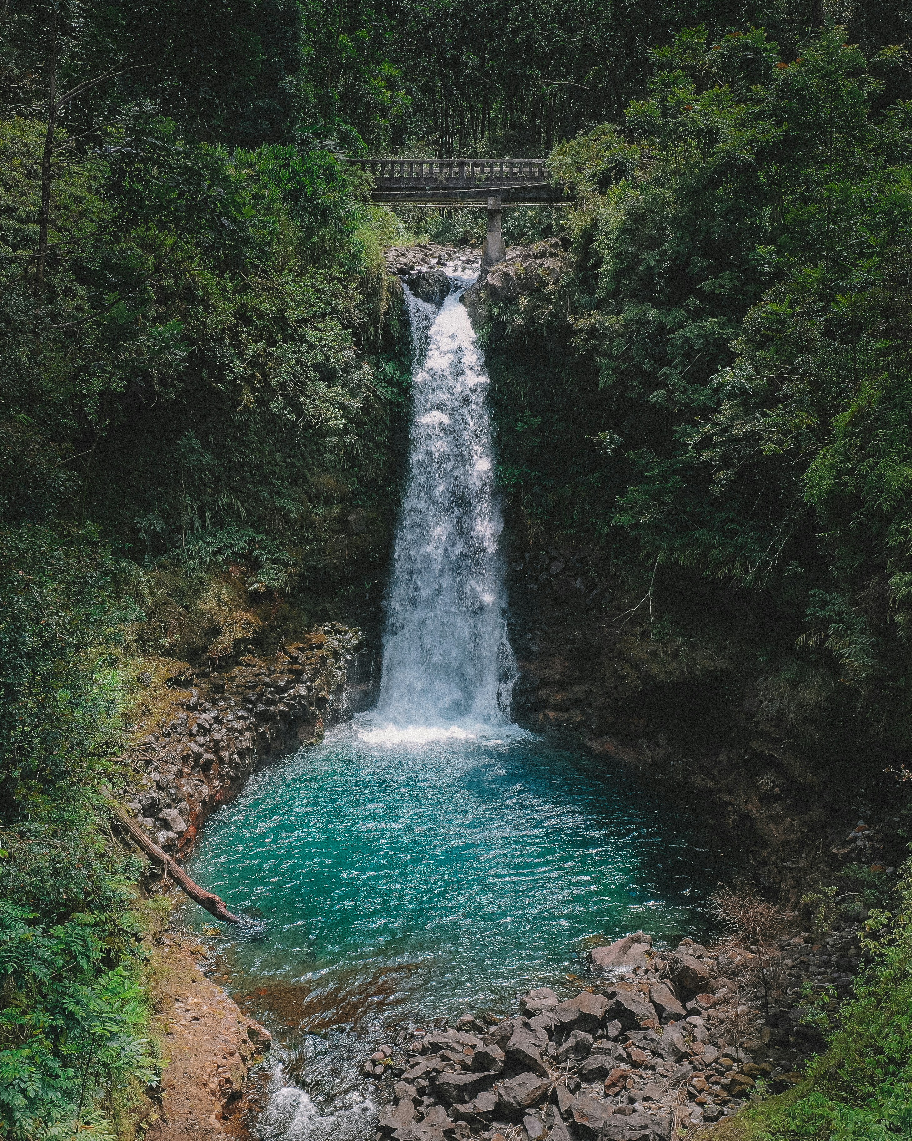 Photo by jonathangallegos