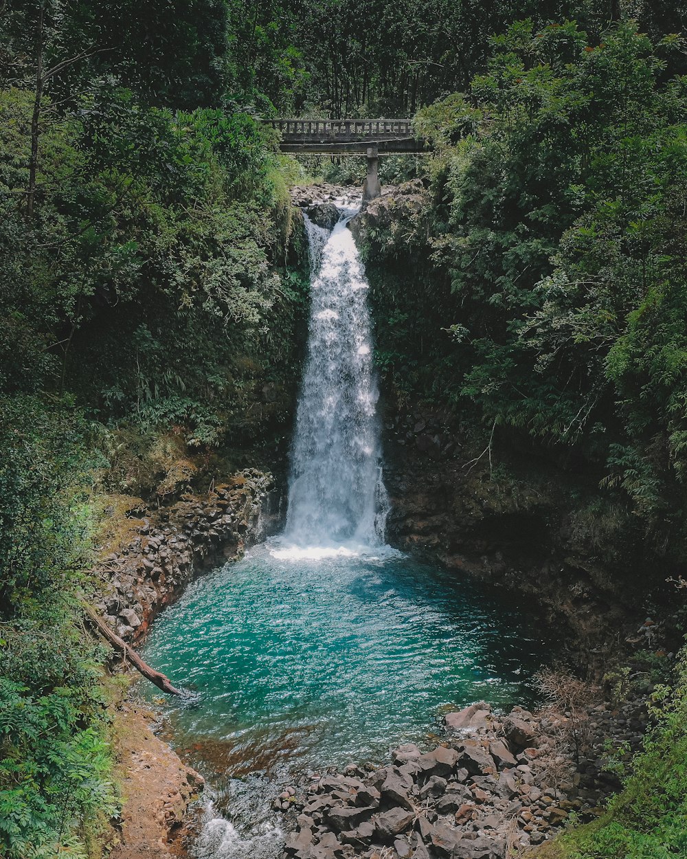 waterfalls in the middle of the forest during daytime