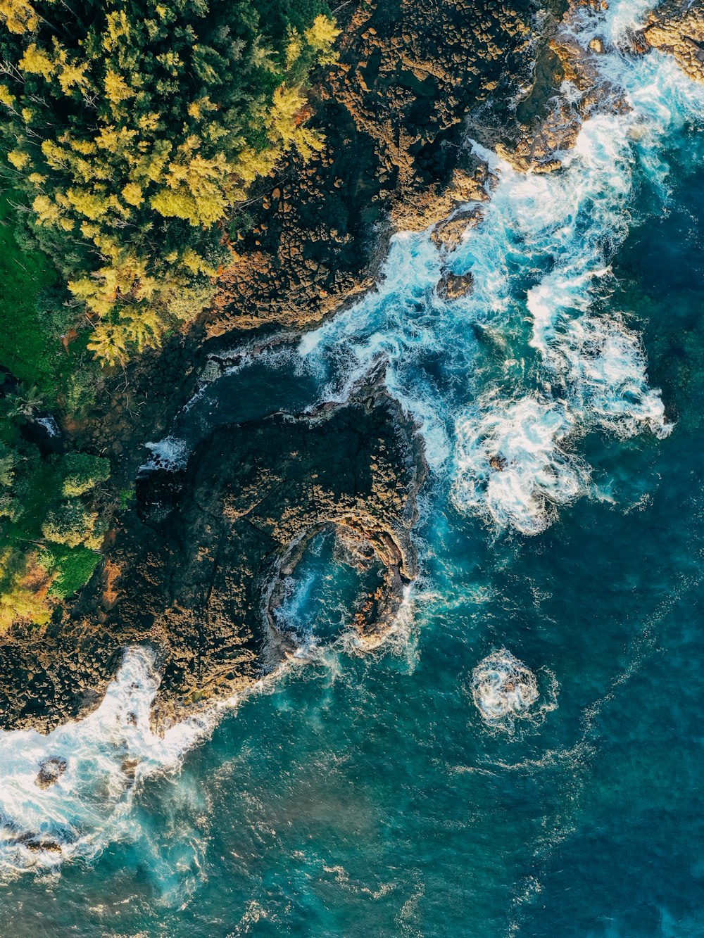 green and brown moss on rock formation beside body of water during daytime