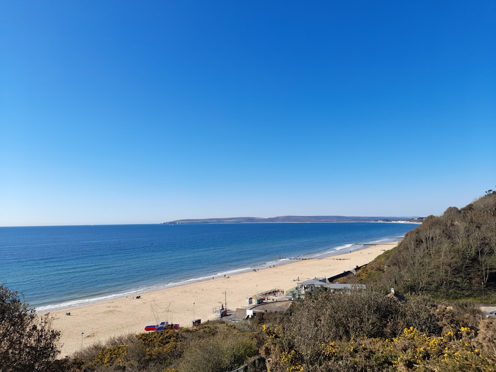 persone sulla spiaggia durante il giorno