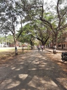 A tree-lined pathway, overcast with shadows from the branches above. Several people are walking down the path, and a motorcycle is parked to the side. The area appears to be in a campus-like setting with fields and buildings in the background.