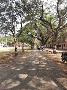A tree-lined pathway, overcast with shadows from the branches above. Several people are walking down the path, and a motorcycle is parked to the side. The area appears to be in a campus-like setting with fields and buildings in the background.