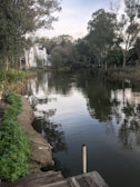 A tranquil river scene reflecting the area's natural beauty.