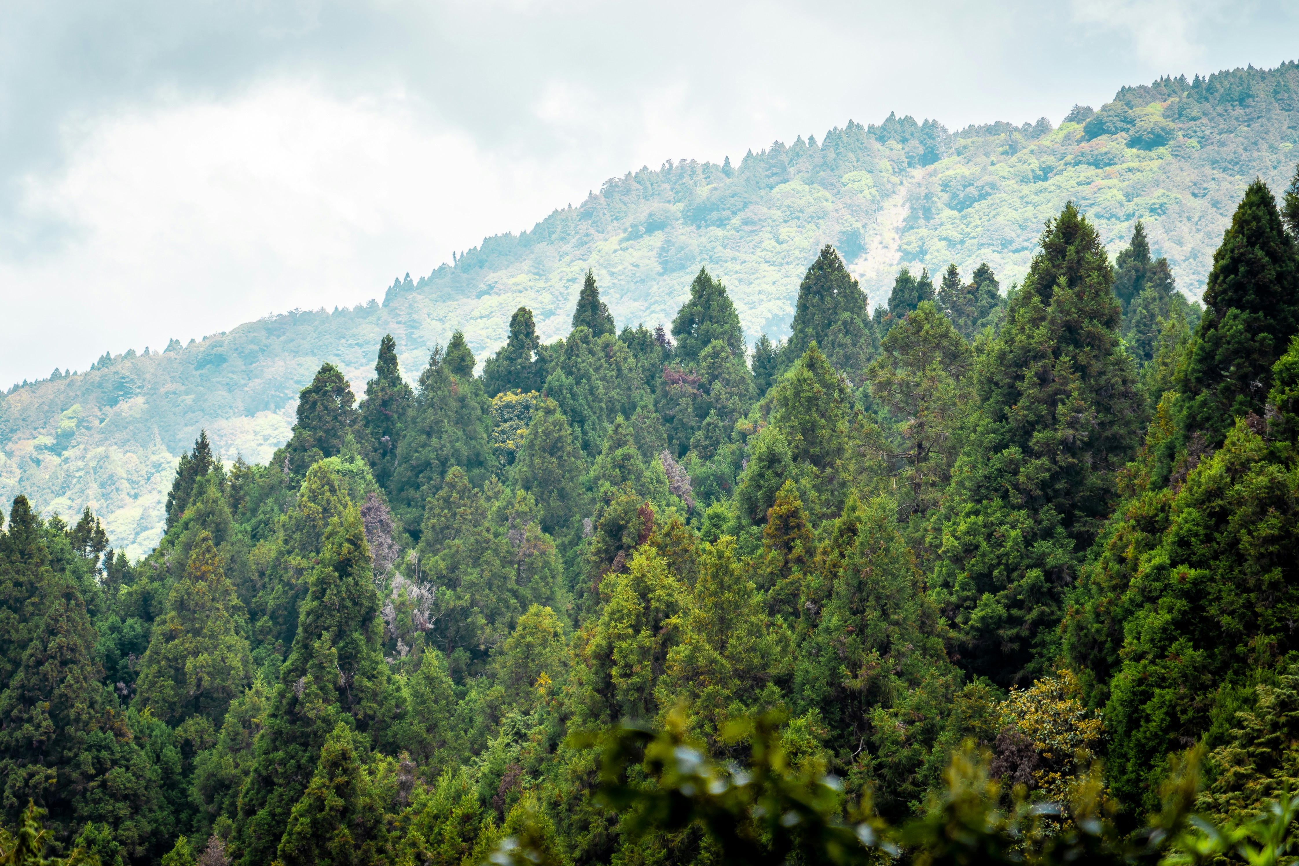 Photo by winstonchen