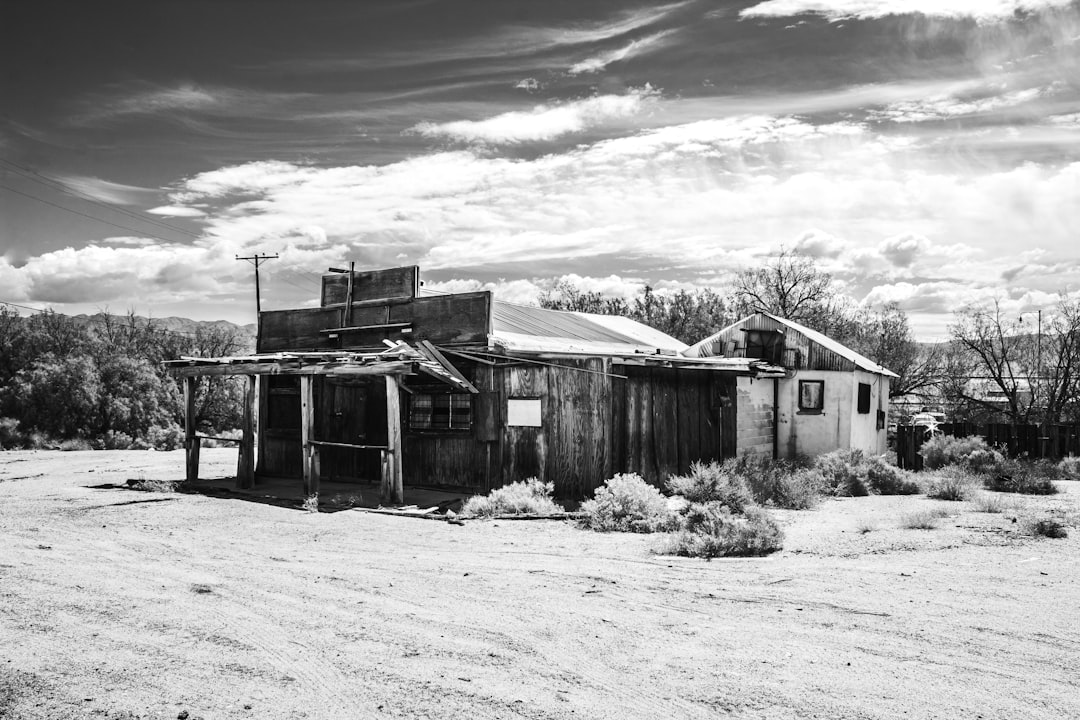 grayscale photo of wooden house near bare trees