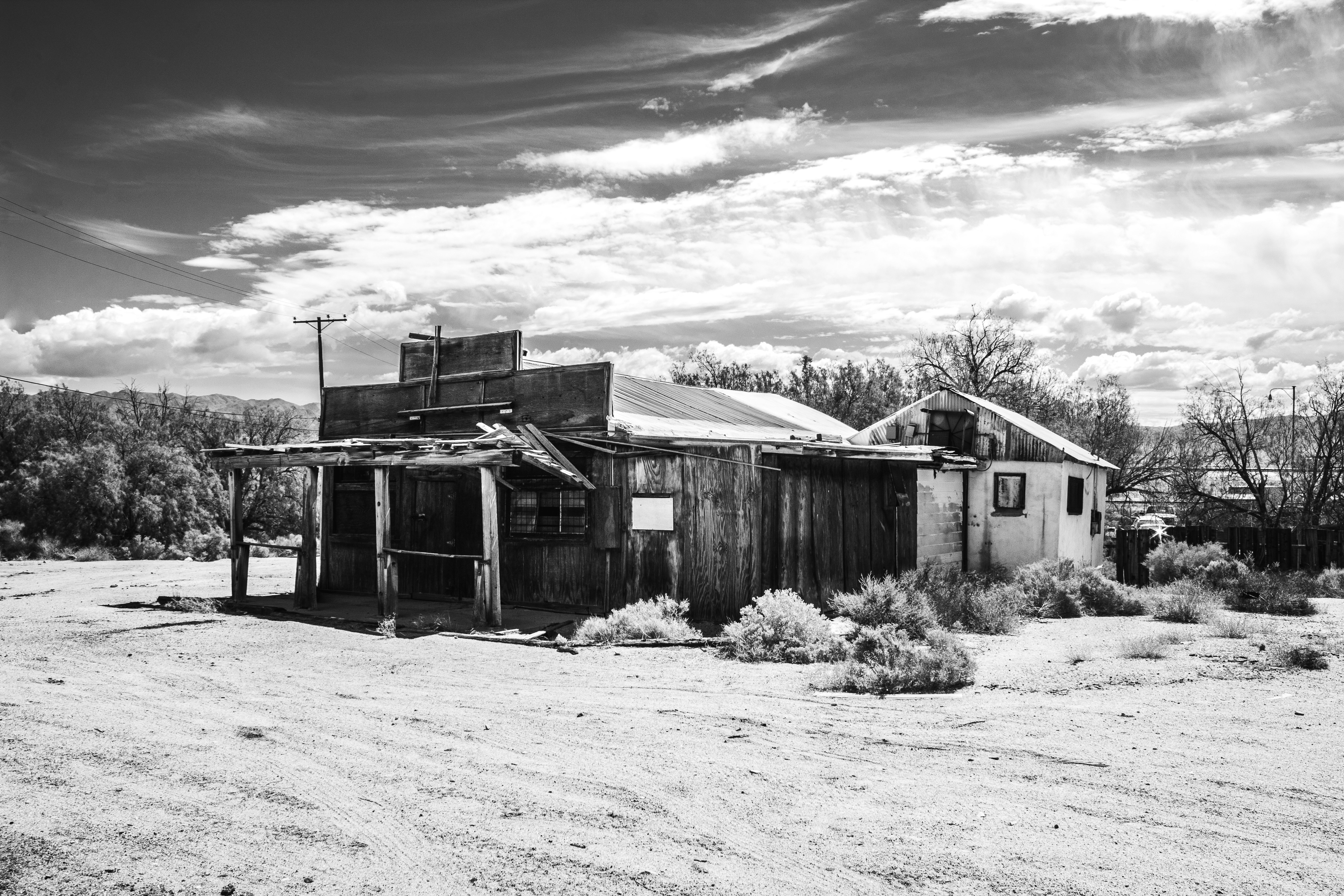 grayscale photo of wooden house near bare trees