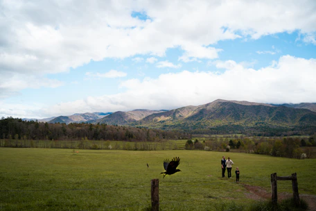 A family enjoying a guided walk through lush green fields with the Bogotá city skyline in the distance under a soft morning light.
