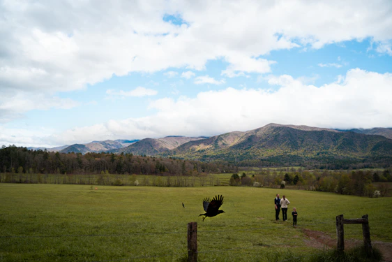 A welcoming family walking through lush green parcels of land with clear blue skies and nearby water streams.