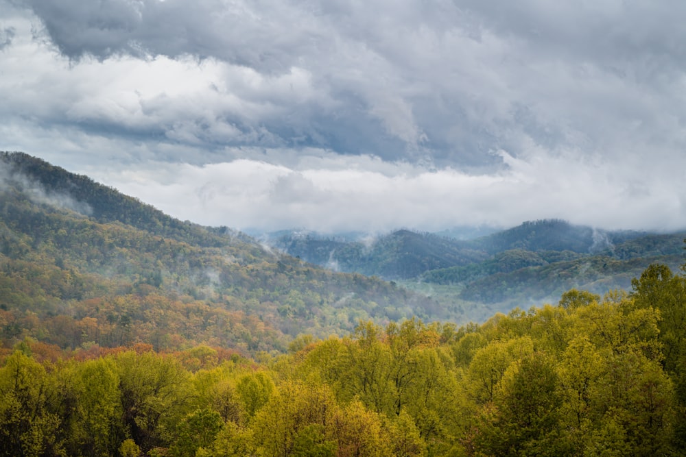 green trees on mountain under white clouds during daytime
