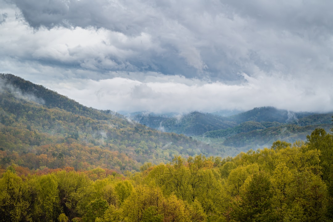 7 Budget-Friendly Spring Destinations for 2024
