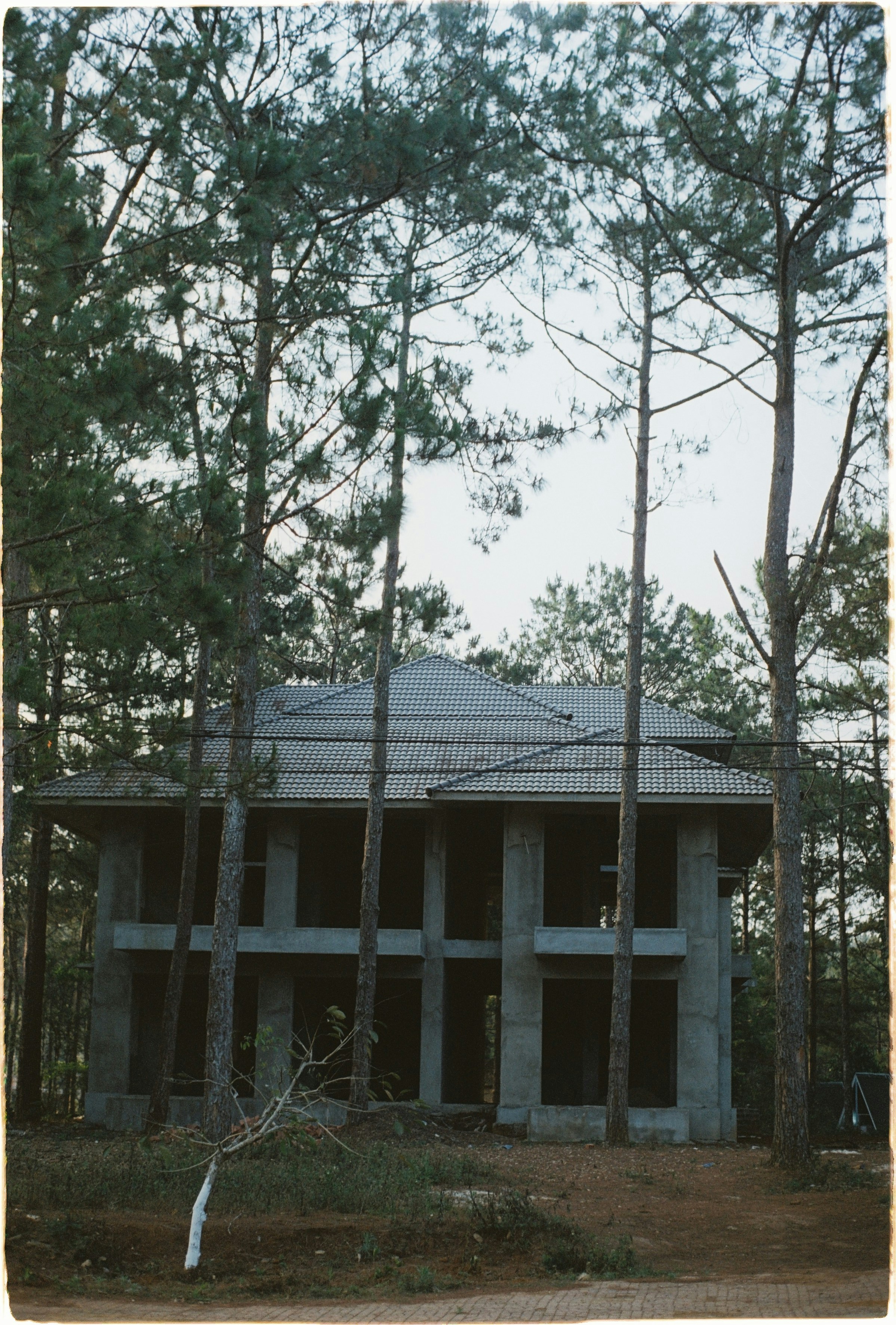 unhibited house inside forest