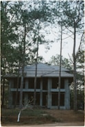A partially constructed two-story house is situated amidst tall pine trees. The building features an unfinished concrete exterior and a roof with dark shingles. The surrounding area is covered with soil and scattered vegetation, creating a natural, woodland setting.