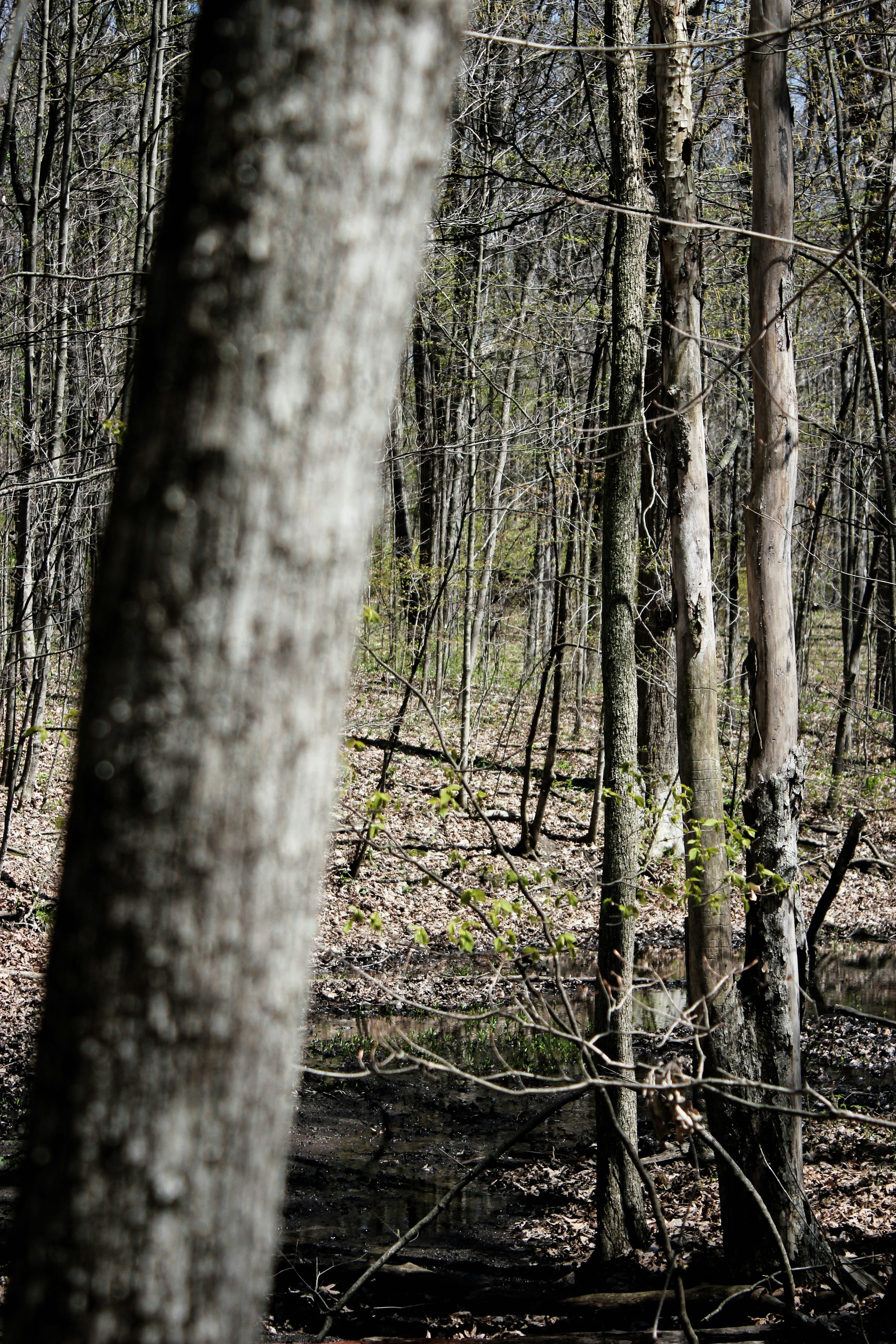 Photo by mrgreatheart