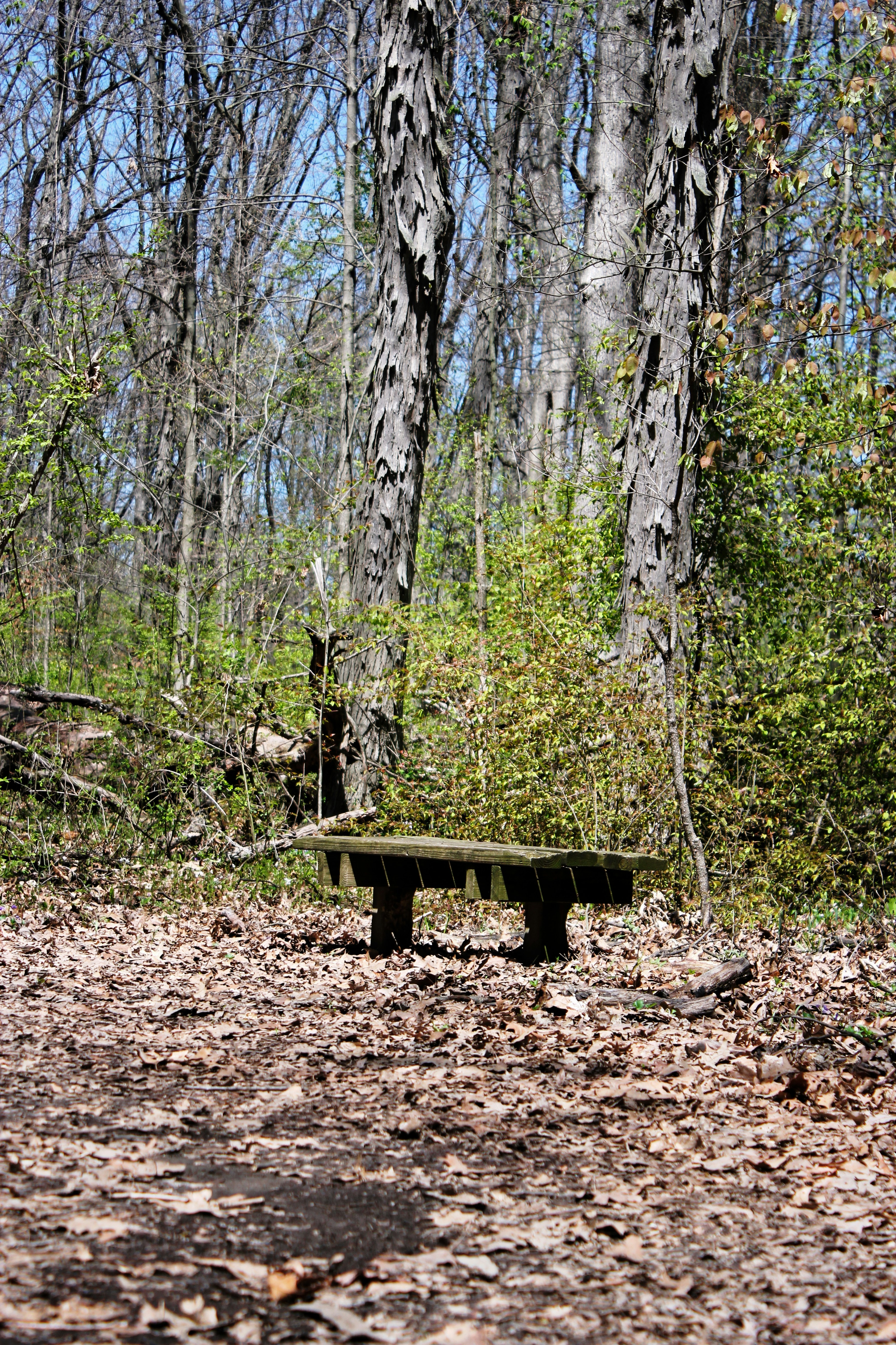 Reclaimed Wood Garden Bench