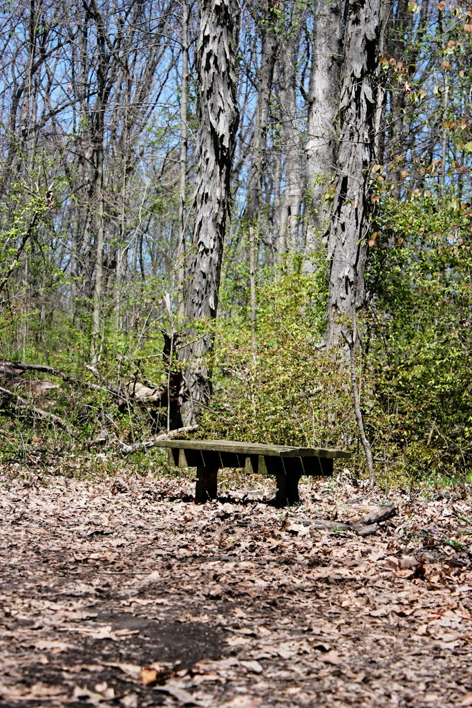 Wooden Camping Stool