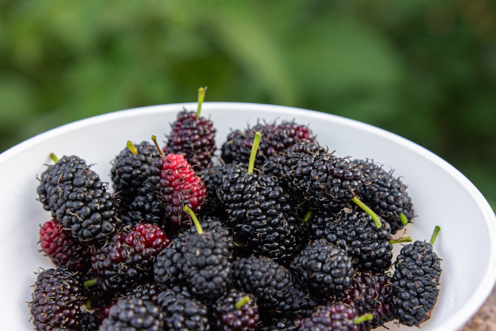 black and red berries in white ceramic bowl