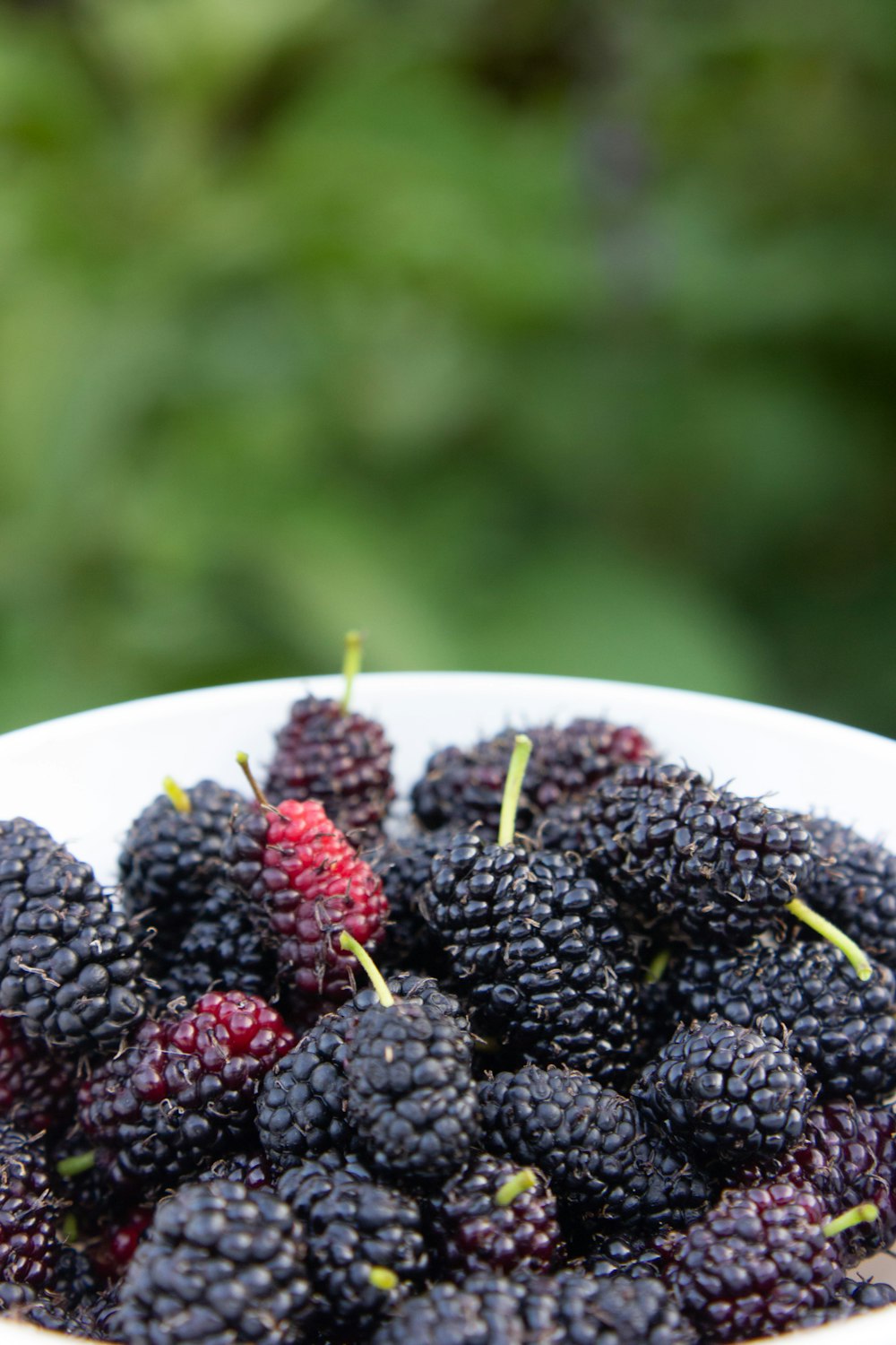 black berries on white ceramic plate