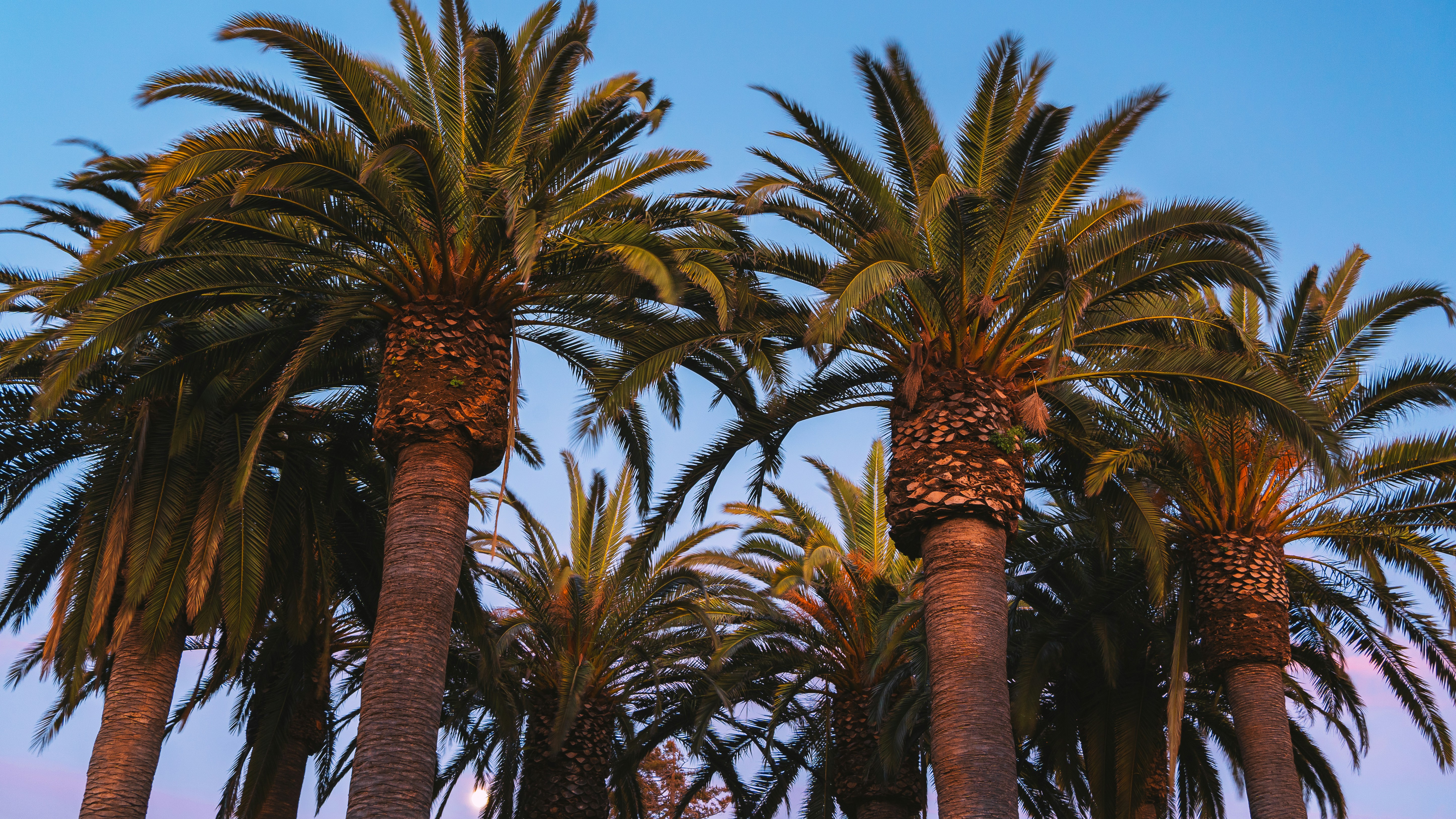 Photo by kalaniparker