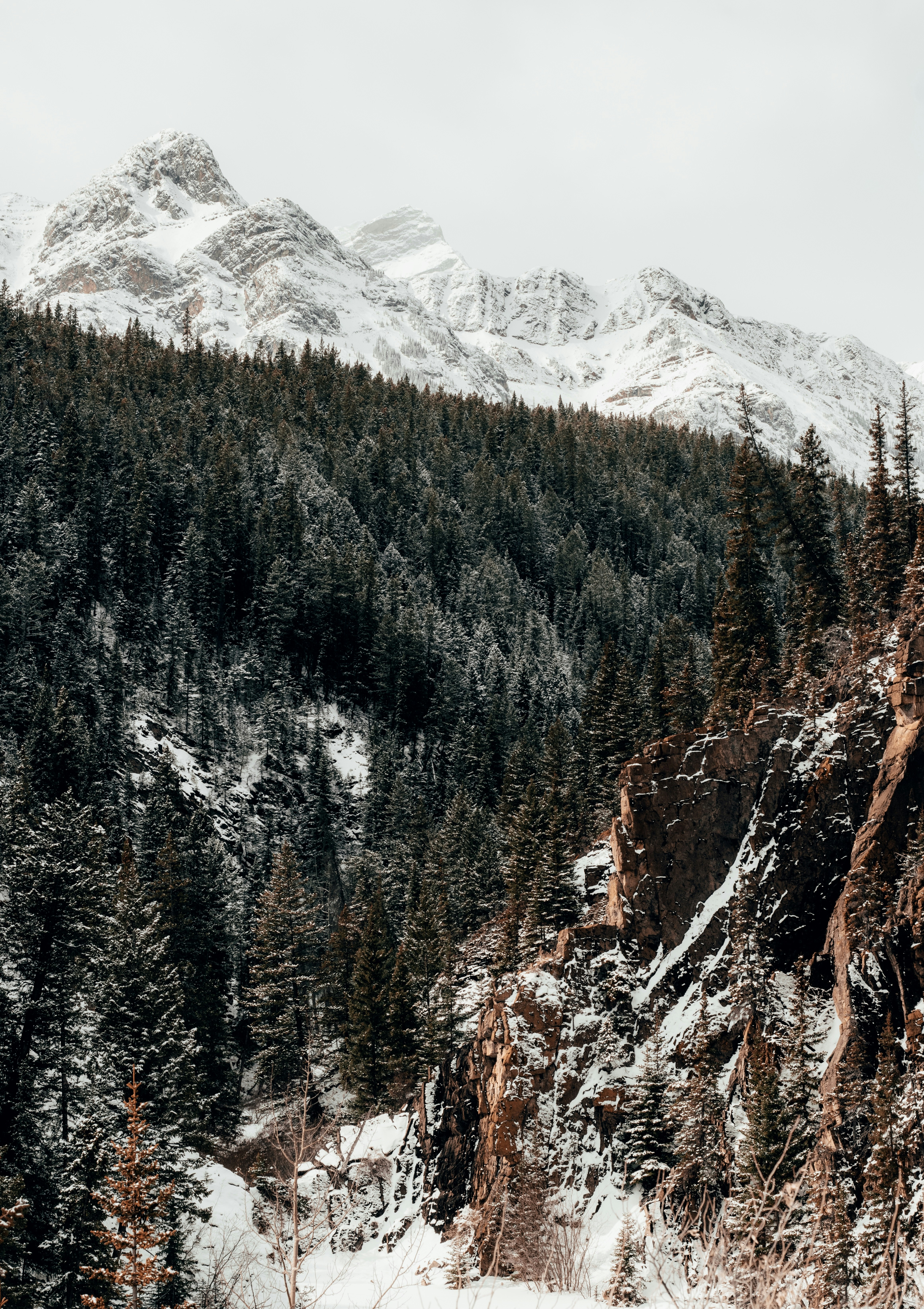 Photo by emilivna_photography