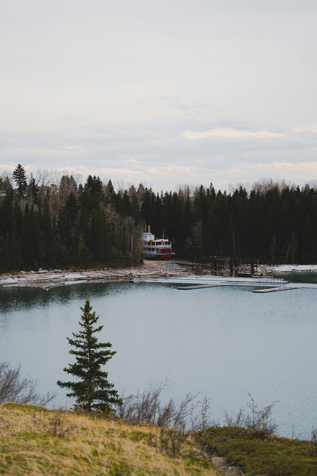 white boat on lake near trees during daytime