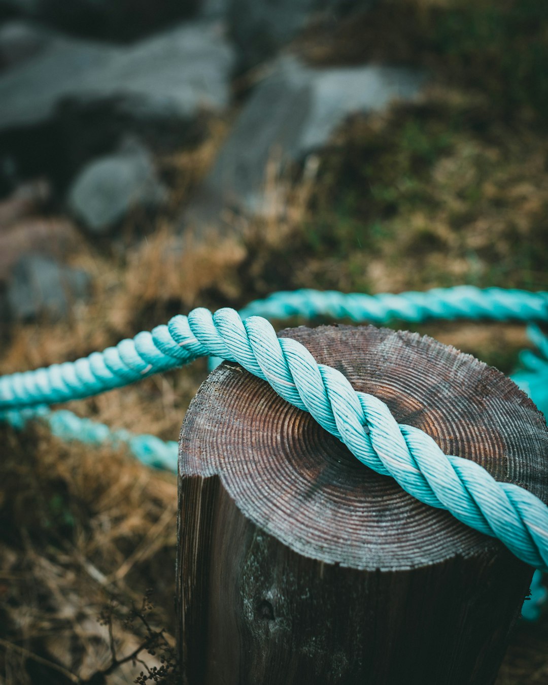 blue rope on brown wooden post
