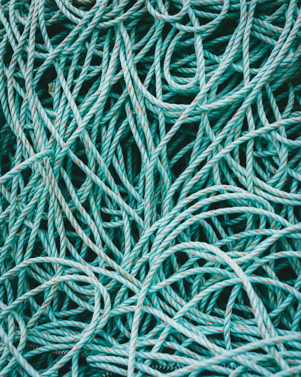 green and black rope on white surface