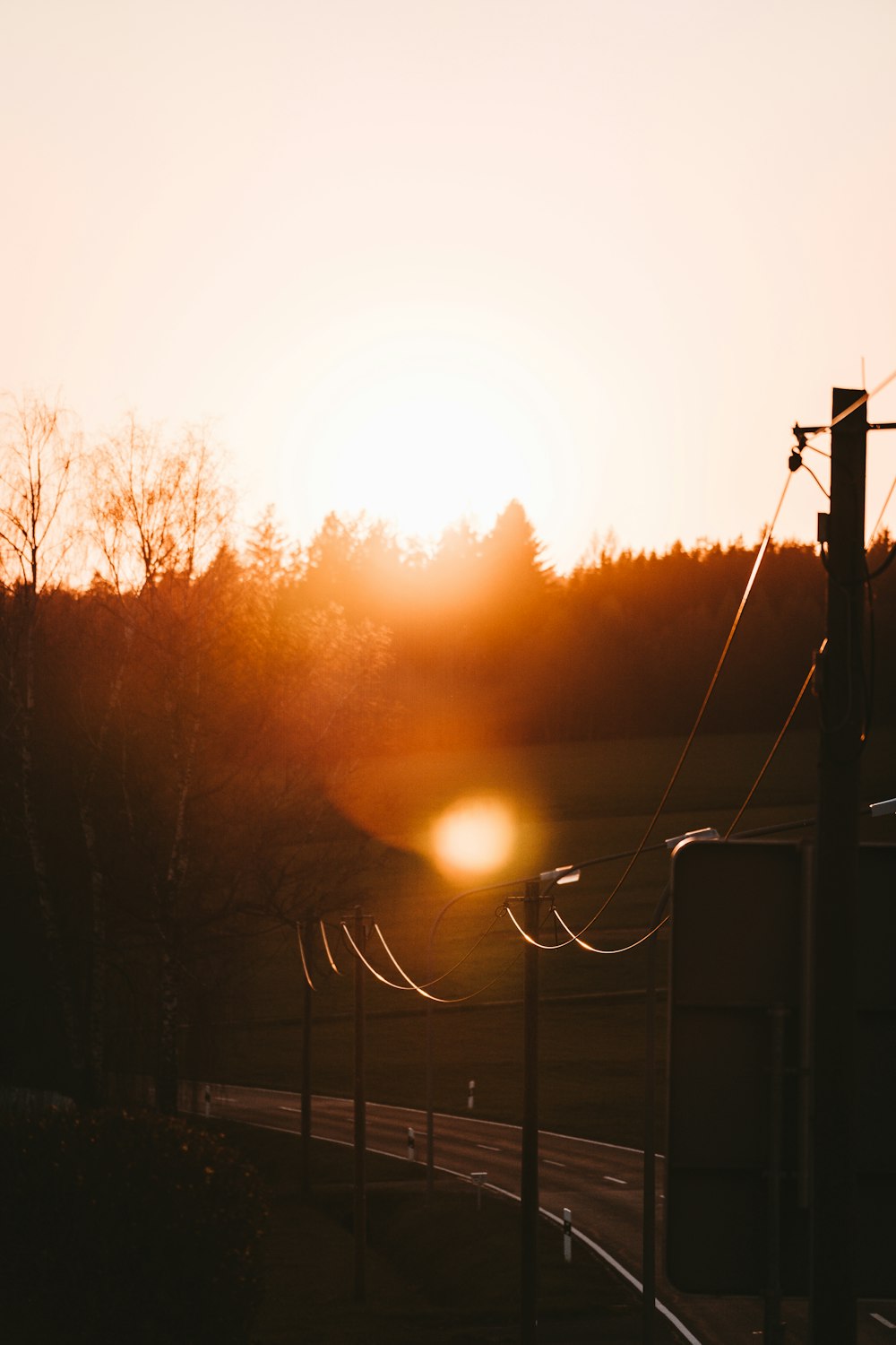 sun setting over trees and electric post