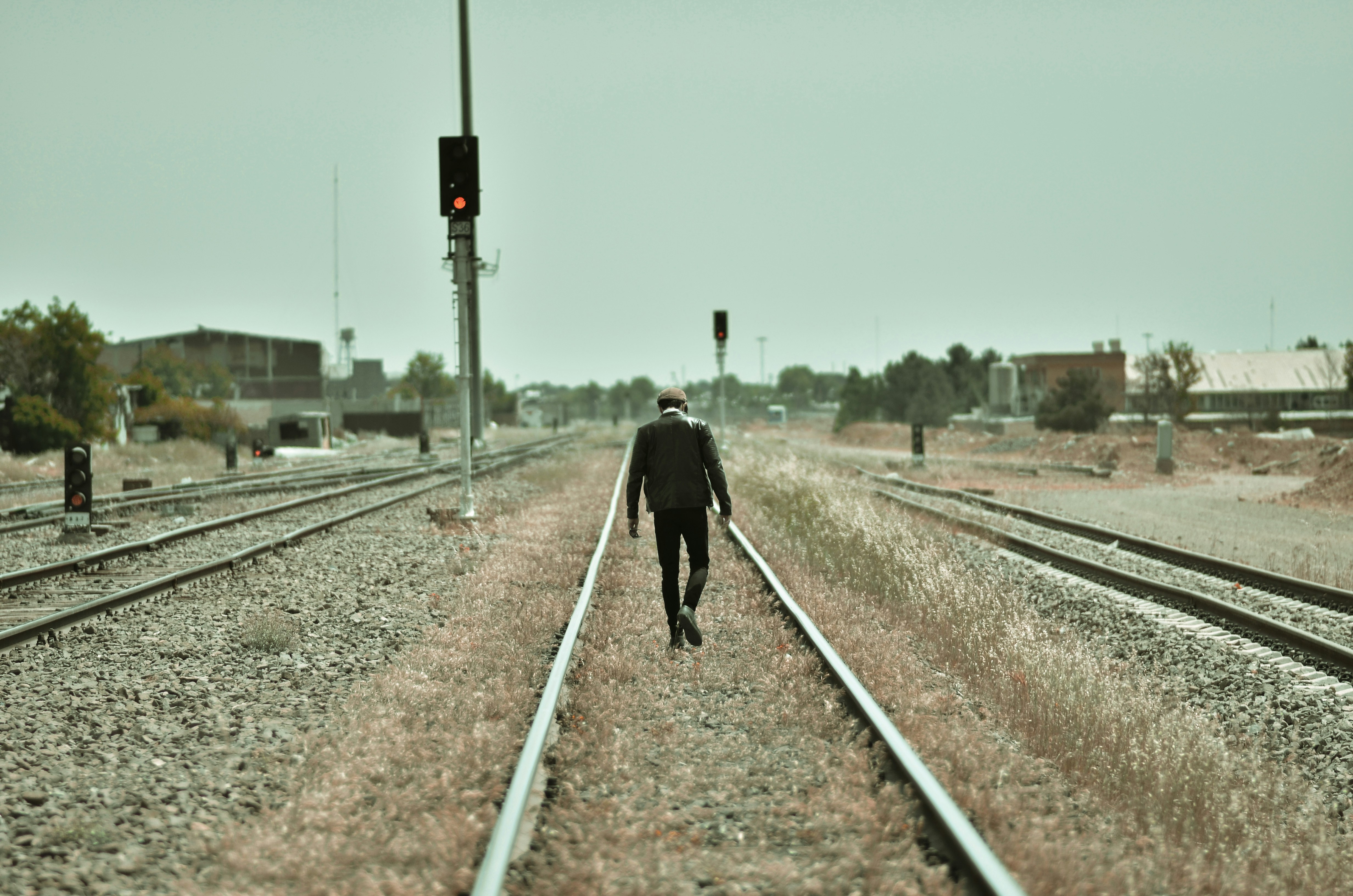 Photo by saeedfakhari