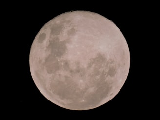A clear and detailed view of a full moon with craters and surface features visible against a stark black background.