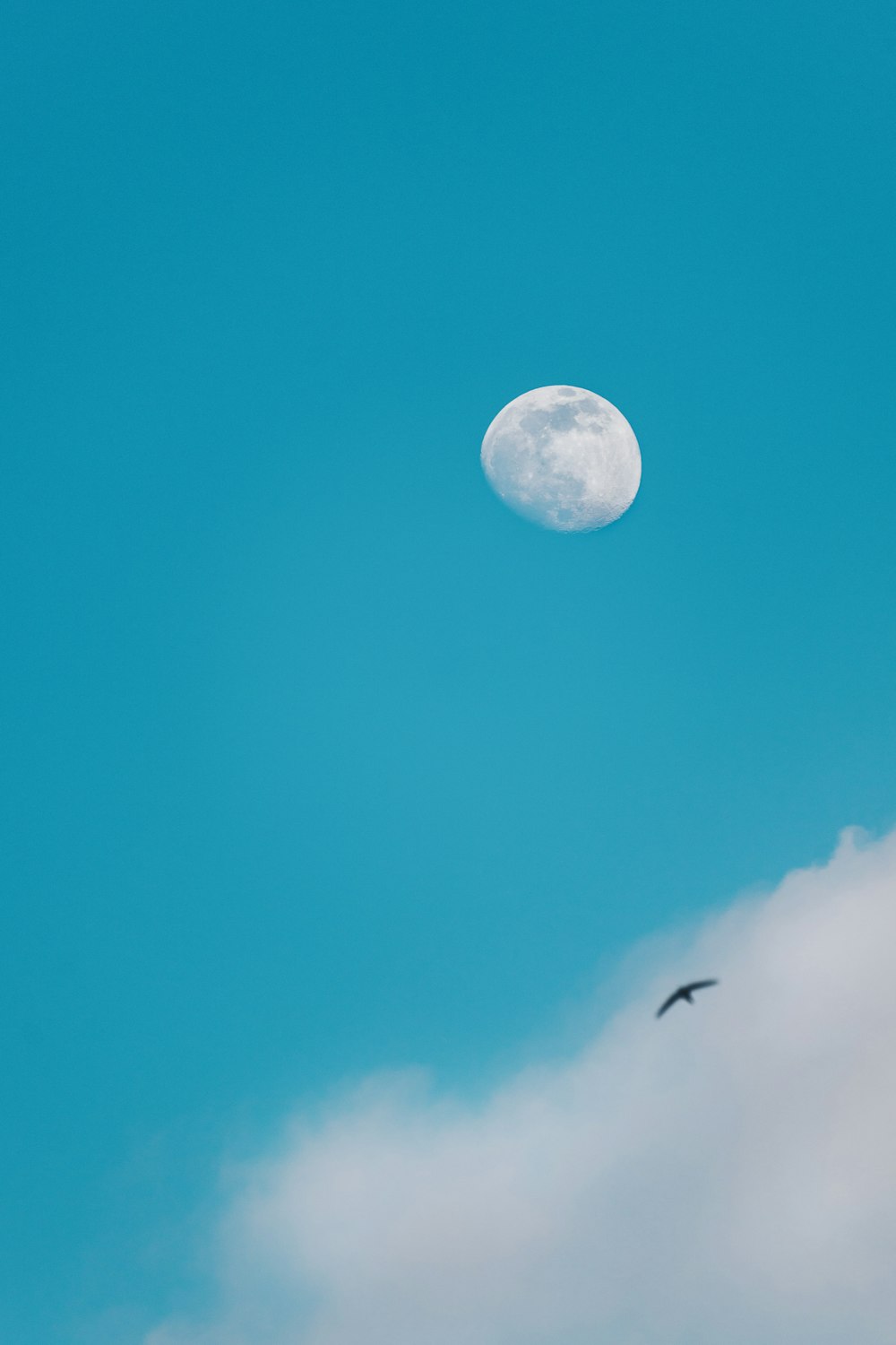 Pleine lune blanche dans le ciel bleu